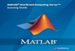 MATLAB Distributed Computing Server™...With MATLAB Distributed Computing Server installed on-site, you have two licensing options: ... Script Environment Variables (Generic Scheduler