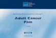 Practice Guidelines in Oncology · Adult Cancer Pain Version 1.2006, 04-25-06 National Comprehensive Cancer Network, Inc. All rights reserved. These guidelines and this illustration
