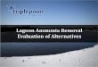 Agenda - Michigan Water Environment Association Lagoon Ammonia Removal -O...Agenda 1. Brief Introduction 2. Overview of the Lagoon Ammonia Problem • Causes and Effects of Ammonia