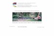REPORT ON SECOND TREE CROP MISSION Report on 2nd Tree crop Mission.pdf · Agroforestry 24 Sep PPO 5 Tantangan Dumadalig Elnaf Communal nursery Agroforestry Tanting Agroforestry Barak