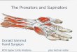 The Pronators and Supinators - Mr Donald Sammut FRCS, FRCS, … · The Pronators and Supinators Donald Sammut Hand Surgeon KCH Upper Limb Anatomy plus lecture notes
