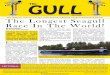 The Gull No.1 Seagull News - Saving Old Seagulls: …Issue No#1 - September 2011 The Gull 4 GULL NEWS Latest British Seagull News On People And Events From Around The World The Seagull