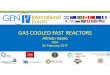 CEA 22 February 2017 - gen-4.org · Dr. Vasile participated at the Gen IV Roadmap definition process as a member of the Light Water Reactors Technical Group and was the French representative