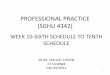 PROFESSIONAL PRACTICE (SGHU 4342) · 2019-01-29 · professional practice (sghu 4342) week 10-sixth schedule to tenth schedule sr dr.tan liat choon 07-5530844 016-4975551 1