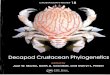 Decapod Crustacean Phylogenetics · 2009-09-11 · Decapod Crustacean Phylogenetics edited by Joel W. Martin, Keith A. Crandall, and Darryl L. Felder ... Molecular Phylogeny of the