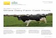 Spotlight | June 2017 Where Dairy Farm Cash Flows · SPOTLIGHT | WHERE DAIRY FARM CASH FLOWS FIGURE 4 Dairy farming is of significant importance in some regions, for example the South