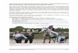 Quality breeds Quality Nile Breeding and Performance ... report 2017 eeee.pdf · NIL FARAH DIBA , 2017, (AF Albahar x Nil Anablue). High legged, elegant filly, short back, l arge