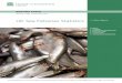 UK Sea Fisheries Statistics · 3 UK Sea Fisheries Statistics . Summary . This briefing paper examines trends in the UK sea fishing industry, including landings, employment, fleet