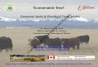 Canada-Alberta Beef Industry Development FundFILE/afac2017-basarab.pdf · 2019-10-25 · Author: led71 Subject: Presentation April 15 Created Date: 20170228144627Z