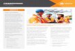 COMMISSIONING · yyFinal commissioning report yyRe-commissioning plan Essential Commissioning Essential Commissioning helps keep your project on track and on budget with fewer change