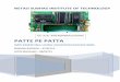 PATTE PE PATTA - 8085 Projects...PATTE PE PATTA Bhavna Rachuri – 47/EC/13 Jatin Mahajan – 68/EC/13 Testing & Debugging The terminal stage of the project before it is presented