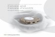 Radiolucent Cage System for Anterior Cervical Interbody Fusion Cervios …synthes.vo.llnwd.net/o16/LLNWMB8/INT Mobile/Synthes... · 2017-11-18 · Radiolucent Cage System for Anterior