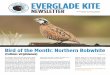 EVERGLADE KITE · EVERGLADE KITE NEWSLETTER The distinctive call of the only quail species native to the eastern United States used to be heard all over Palm Beach County, even here