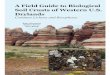 A Field Guide to Biological Soil Crusts of Western U.S ... Guide to Biological Soil Crusts of...A Field Guide to Biological Soil Crusts of Western U.S. Drylands Common Lichens and