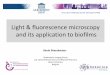 Light & fluorescence microscopy and its …tcoenye/iuap/Braeckmans.pdfLight & fluorescence microscopy and its application to biofilms Biophotonic Imaging Group Lab. General Biochemistry