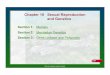 Chapter 10 Sexual Reproduction and Genetics · 2015-01-20 · Chapter 10 Sexual Reproduction and Genetics ! Human body cells have 46 chromosomes ... Crossing over produces exchange