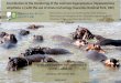 Contribution to the monitoring of the common hippopotamus (Hippopotamus amphibius … · 2015-10-21 · Contribution to the monitoring of the common hippopotamus (Hippopotamus amphibius