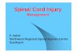 Spinal Cord Injury - Southport and Ormskirk …...Spinal Cord injury without fracture Scene of Accident Extrication Immobilisation and Evacuation 1.Cervical collar Hard collar 2.Cervical