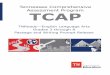 Tennessee Comprehensive Assessment Program TCAP · 2019-08-03 · 5 TN328214 Item Label TN328214 Max Points 1 Item Grade 03 Item Content ELA Item Type choice Key 1 DOK 2 Rubric Standard