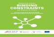 IdentIfyIng Binding Constraints - RESEP is a group resep.sun.ac.za/wp-content/uploads/2017/10/PSPPD_BICiE