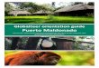 Globalteer orientation guide Puerto Maldonado...• Puno and Lake Titicaca • Northern Peru and the central mountains • Beach areas (Mancora is the most popular beach destination