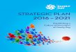 STRATEGIC PLAN 2016 – 2021 - Family Day : Family Dayfamilydaycare.com/wp-content/uploads/strategic-plan.pdf · and strengths, Family Day’s new strategic plan was born. This plan