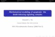 Mathematical modeling of apoptosis: the death-inducing ...klho.github.io/pres/docs/ho-2009-nyu-biomath.pdf · Introduction Model formulation Results Conclusion Mathematical modeling