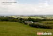 BUTTERHOLE FARM - OnTheMarketButterhole Farm lies at the edge of Mabie Forest, on the sloping sides of the Nith Estuary. With 130 acres or thereby of farmland, broadly divided into