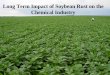 Long Term Impact of Soybean Rust on the Chemical Industry · Long Term Impact of Soybean Rust on the Chemical Industry • Soybean Rust has the potential to become a market that could