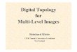 Digital Topology for Multi-Level ImagesDigital Topology for Multi-Level Images Reinhard Klette CITR Tamaki, University of Auckland New Zealand R. Klette basic models/theories in digital