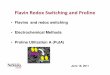 Flavins and redox switching Electrochemical Methods ...genomics.unl.edu/RBC_2011/index_files/thu6.pdf · • Flavins and redox switching • Electrochemical Methods June 16, 2011
