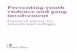 Preventing youth violence and gang involvement...Using this document This advice is for leaders, their senior teams and staff in schools or colleges in areas affected by gang or youth
