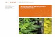 APRIL 2016 Regulating Marijuana - Public Policy Institute ... · medical use, recreational use, or both are permitted (Technical Appendix A). Even if legal recreational use is still