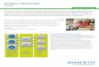 Amadeus e-Merchandise FaringAmadeus Flex Pricer is a very comprehensive faring solution. It covers all an airline’s needs, providing a full calendar with up-sell panels, offering