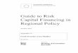Guide to Risk Capital Financing in Regional Policy - …...Introduction Case Study Template The following template should be used by regional authorities / others operating innovative