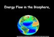 Energy Flow in the Biosphere, - O'Mara's Science Siteomarascience.weebly.com/uploads/2/7/7/4/2774881/biosphere_ppt__1_.pdf · Ways organisms interact _____ Between SAME and DIFFERENT