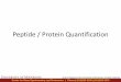 Peptide / Protein Quantification - University of Minnesota · Text from Thermo site:\爀屲In June 2003, Dr. Steve Gygi and his team presented an innovative strategy, Protein AQUA,
