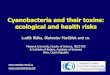Cyanobacteria and their toxins: ecological and health risks · 2016-04-20 · Cyanobacteria and their toxins: ecological and health risks Luděk Bláha, Blahoslav Maršálek and co