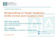 Responding to Youth Violence, Knife Crime and County Lines · Leeds Evening Seminar Responding to Youth Violence, Knife Crime and County Lines DSI Carl Galvin Force Authorising Officer
