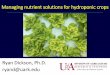 Managing nutrient solutions for hydroponic cropsNutrition strategy for hydroponic greens ppm in nutrient solution 16-4-17 Nutrient ppm N 150 P 16 K 132 Ca 38 Mg 14 Fe 2.10 Mn 0.47