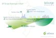 BP Bunge Bioenergia in Brazil · This company, based in Brazil, is subject to regulatory approval...and exporting gigawatt hours of biopower to the national grid