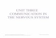 UNIT THREE COMMUNICATION IN THE NERVOUS SYSTEMfaculty.washington.edu/chudler/bex/bex2unit3.pdf · Unit Three: Communication in the Nervous System UNC-CH Brain Explorers May be reproduced