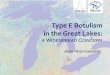 Type E Botulism in the Great Lakes - University of Windsorweb2.uwindsor.ca/lemn/LEMN2010_files/Presentations/PerezFuentetaja2... · Acknowledgements Collaborators: Mark Clapsadl1,