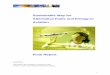 Sustainable Way for Alternative Fuels and Energy in Aviation · Sustainable Way for Alternative Fuels and Energy in Aviation Final Report ... (CTL), gas (GTL) or biomass (BTL), all
