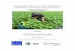 Monitoring yield, field quality and water use efficiency of irrigated … · 2020-01-13 · 4 Table 2 A summary of yield, water use efficiency, cost of production and feed quality