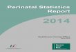 2014...METADATA T ITLE Perinatal Statistics Report, 2014 C REATOR Healthcare Pricing Office (HPO), Health Service Executive (HSE) S UBJECT Key words – free text: Births, Perinatal,