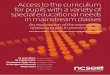 Access to the curriculum for pupils with a variety of …...Access to the curriculum for pupils with a variety of special educational needs in mainstream classes: An exploration of