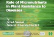 Role of Micronutrients in Plant Resistance to Diseasesbrasil.ipni.net/ipniweb/region/brasil.nsf/e0f085ed5f091b1b852579000057902e... · Role of Micronutrients in Plant Resistance to
