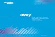 iWay Application Adapter for Oracle E-Business ... Preface This document describes the iWay Application
