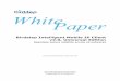 White Paper Birdstep Mobile IP - Katedra informatiky FEI ... · networks, and may have licenses for 3G (UMTS/CDMA2000) networks. We also assume that the operators operate a switched